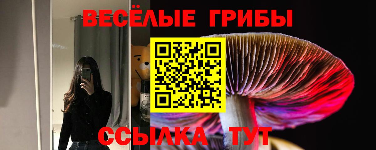 Галлюциногенные грибы мухоморы Коркино